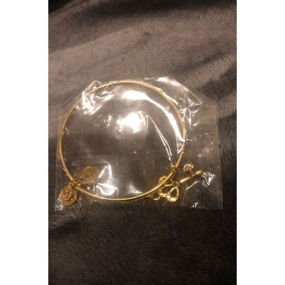 ALEX AND ANI positive energy bracelet - Picture 2 of 4